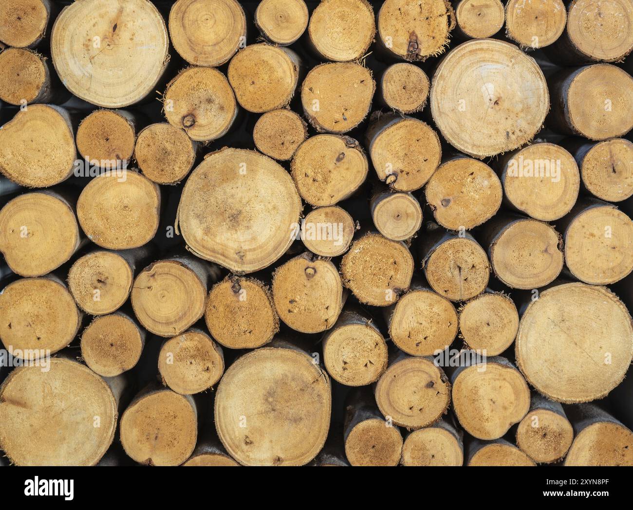 Stapel von gesägtem Holz anmelden. Natürliche Holz Textur Hintergrund Stockfoto