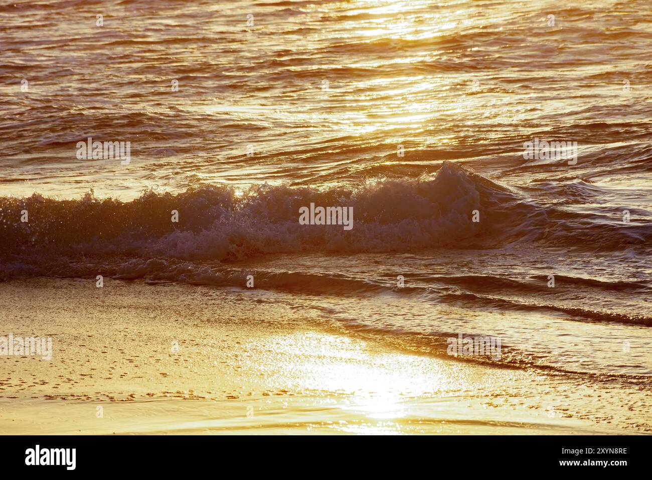 Meerwasser über Sand in tropischen Strand bei Sonnenaufgang Stockfoto