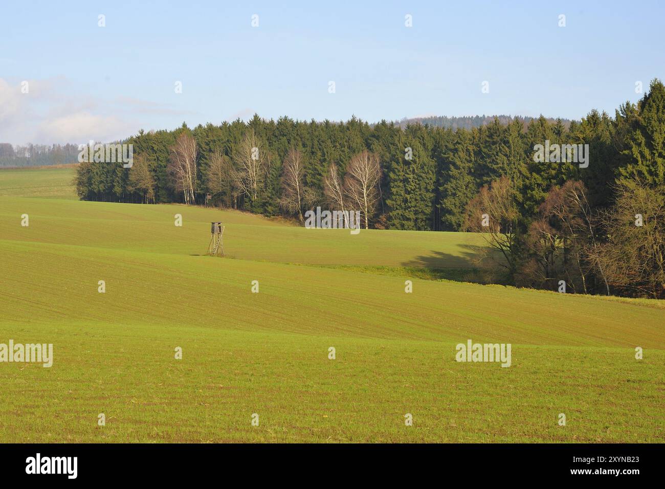 Sächsische Schweiz im Herbst Stockfoto