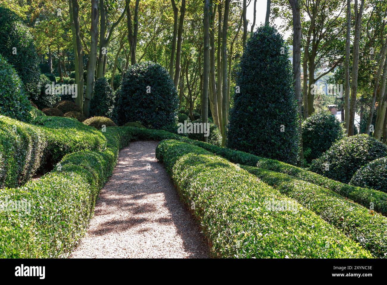 ETRETAT, FRANKREICH - 1. SEPTEMBER 2019: Dies ist der La Manche Garten mit topiären Pflanzen entlang der Wege im Komplex der modernen Kunst Etretat Gärten. Stockfoto