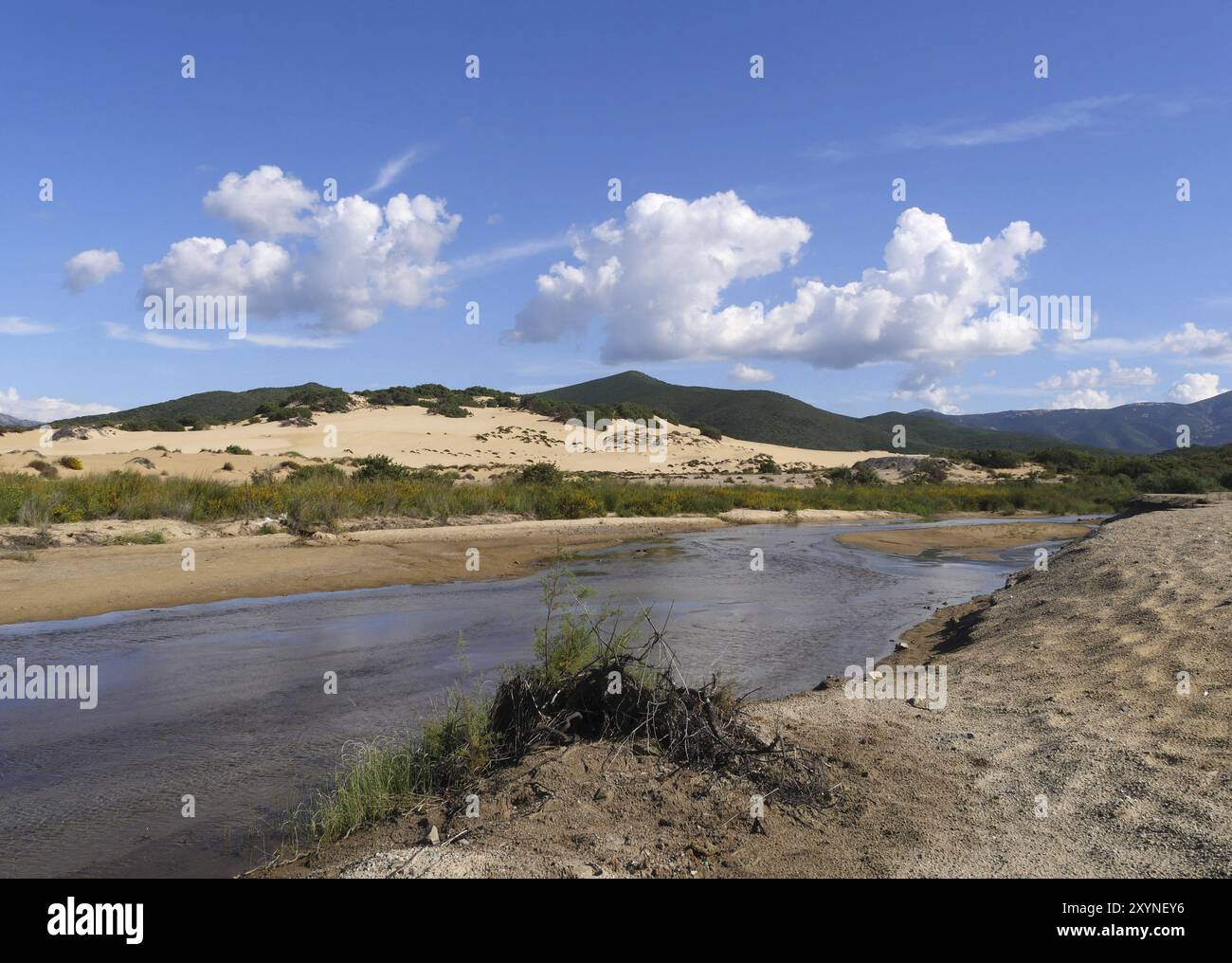 An der Spiaggia di Piscinas erstrecken sich die bis zu 60 Meter hohen Dünen fast zwei Kilometer landeinwärts, angetrieben vom starken mistral-Wind Stockfoto