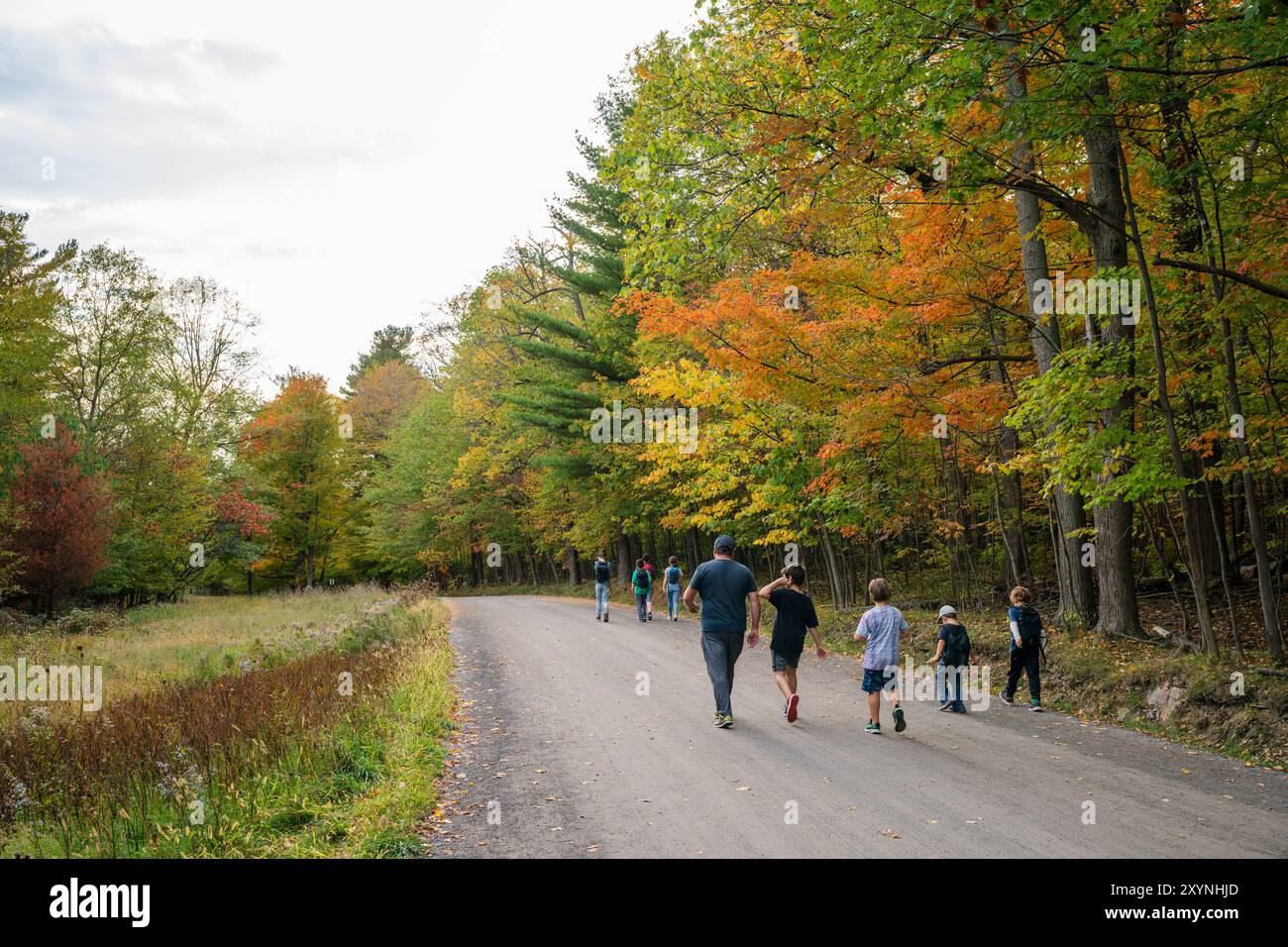 Die Leute laufen auf dem Herbstwaldpfad. Mont-Saint-Bruno Nationalpark. Saint-Bruno-de-Montarville, Quebec, Kanada. Stockfoto