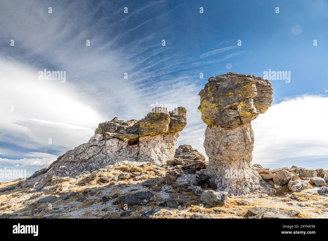 Felsen auf dem Tundra World Nature Trail im Rocky Mountains National Park, Colorado Stockfoto