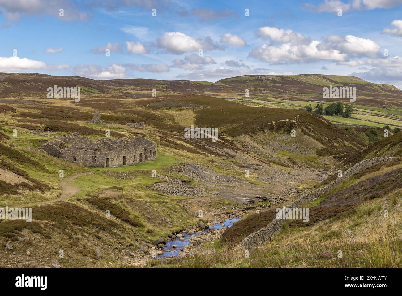 Yorkshire Dales Landschaft mit den Ruinen der Kapitulation roch Mühle, zwischen Feetham und Langthwaite, North Yorkshire, Großbritannien Stockfoto