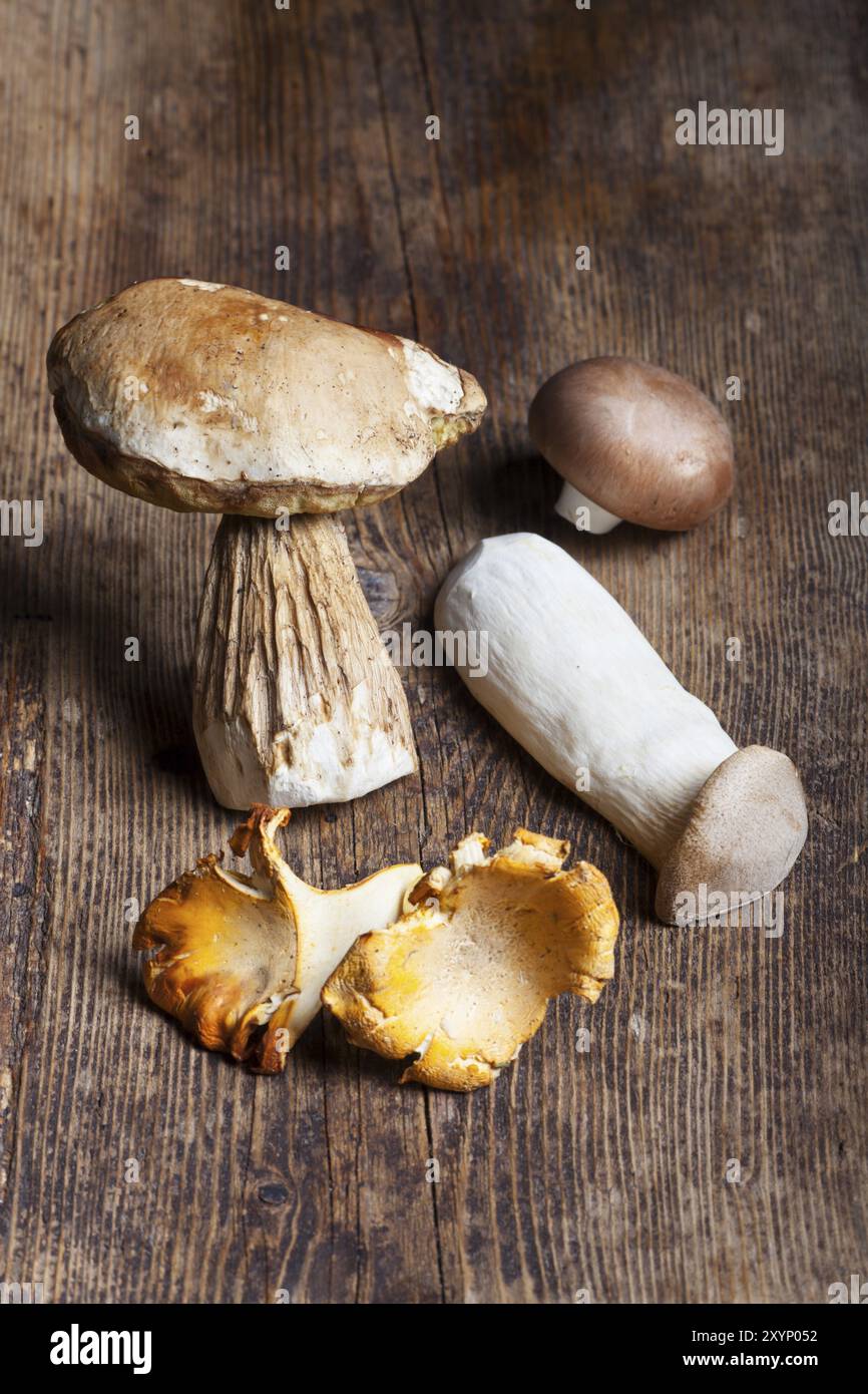 Verschiedene Speisepilze auf Holz Stockfoto