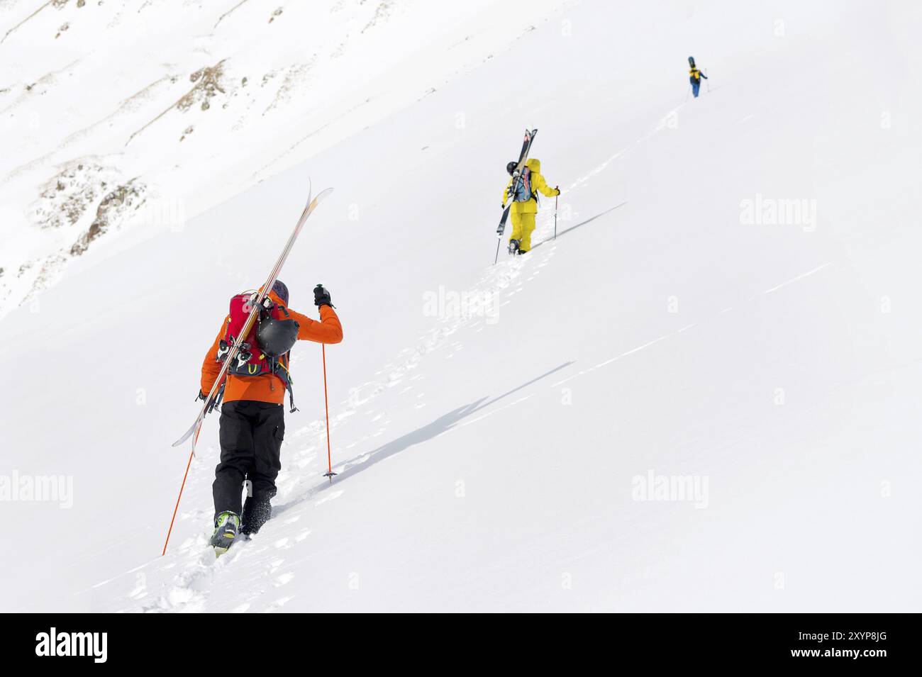 Zwei Ski Freerider klettern die Piste in Tiefschneepulver, wobei die Ausrüstung auf der Rückseite auf dem Rucksack befestigt ist. Das Konzept des Winterextremen Sports Stockfoto