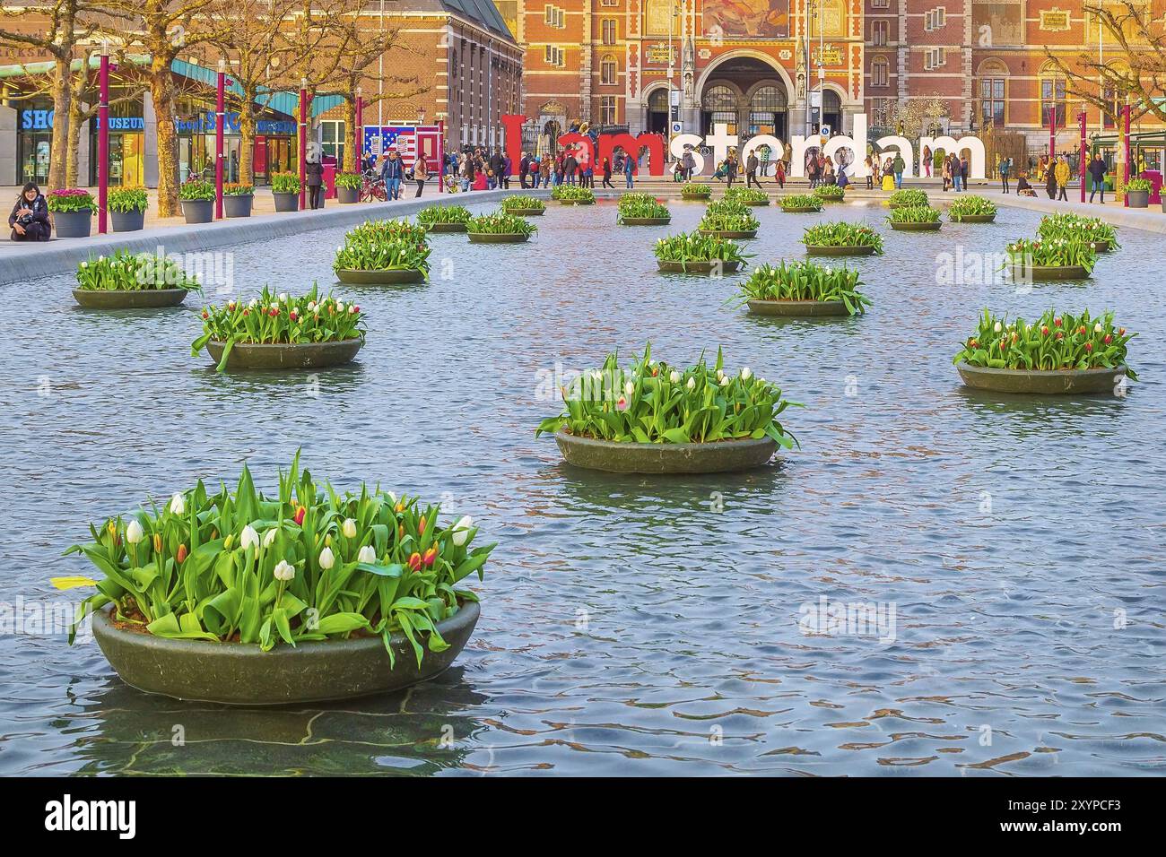 Amsterdam, Niederlande, 31. März 2016: Wasser und bunte Tulpenblumen, Rijksmuseum und Menschen vor dem Schreiben, I amsterdam, Museumplein, Hollan Stockfoto