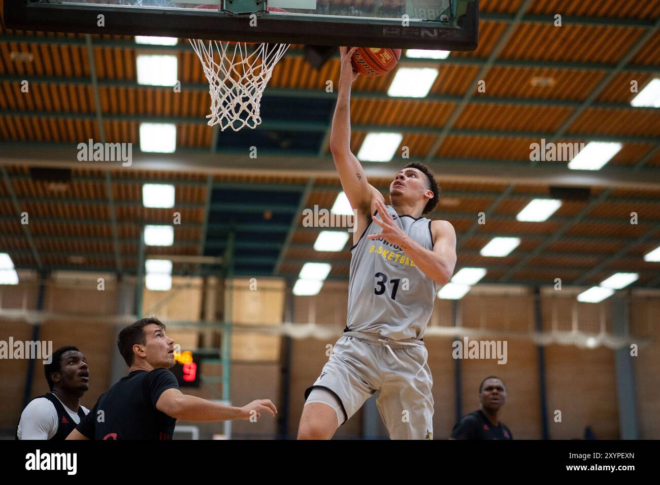 Kellan Grady (MHP Riesen Ludwigsburg, #31) am Ball, GER, MHP Riesen Ludwigsburg vs SIG Straßburg, Testspiel Basketball Bundesliga, Saison 2024/2025, 30.08.2024 Foto: Eibner-Pressefoto/Michael Memmler Stockfoto