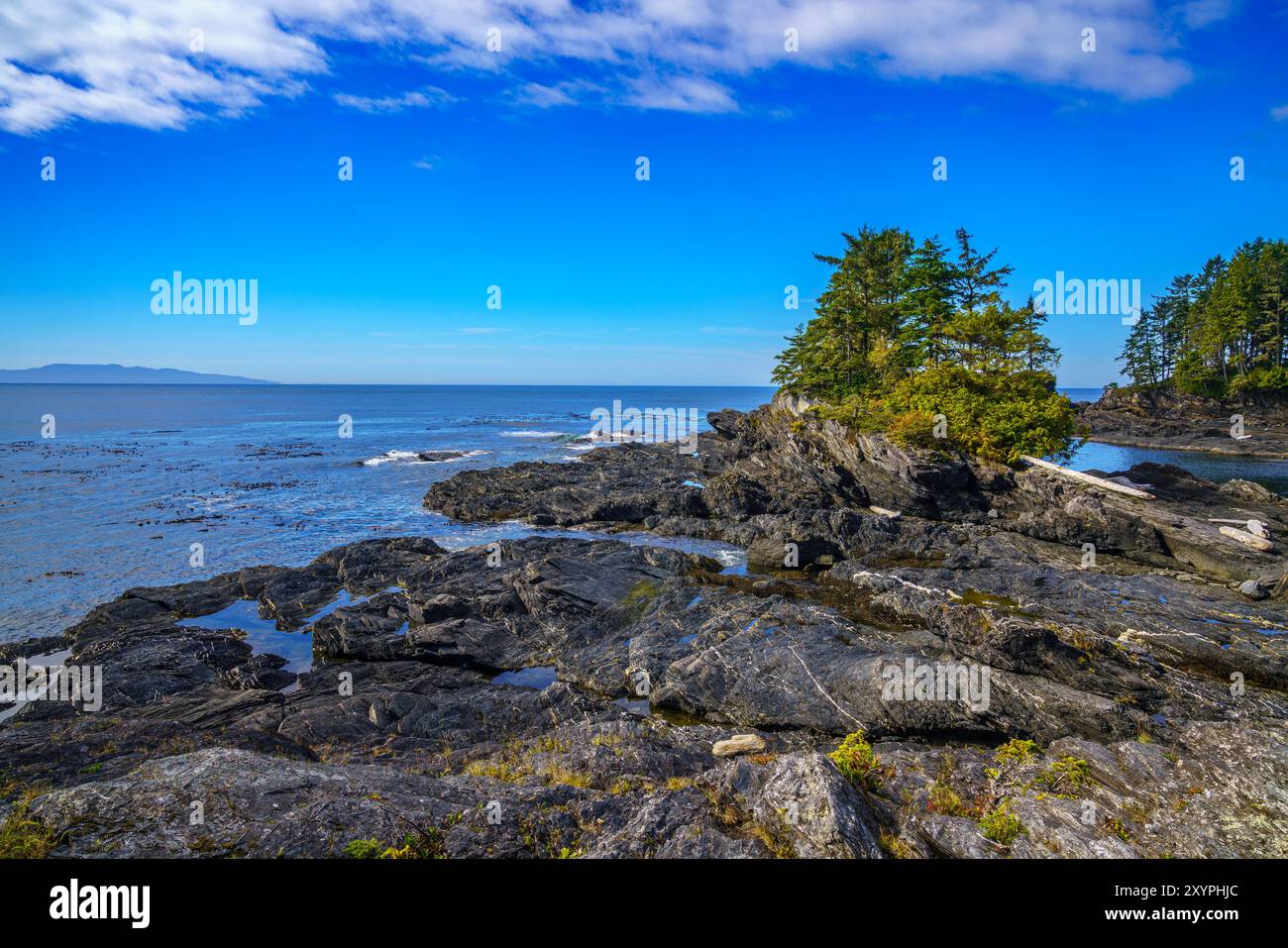 Küstenwald und Felsformationen an der Botany Bay auf dem est Küste von Vancouver Island Stockfoto