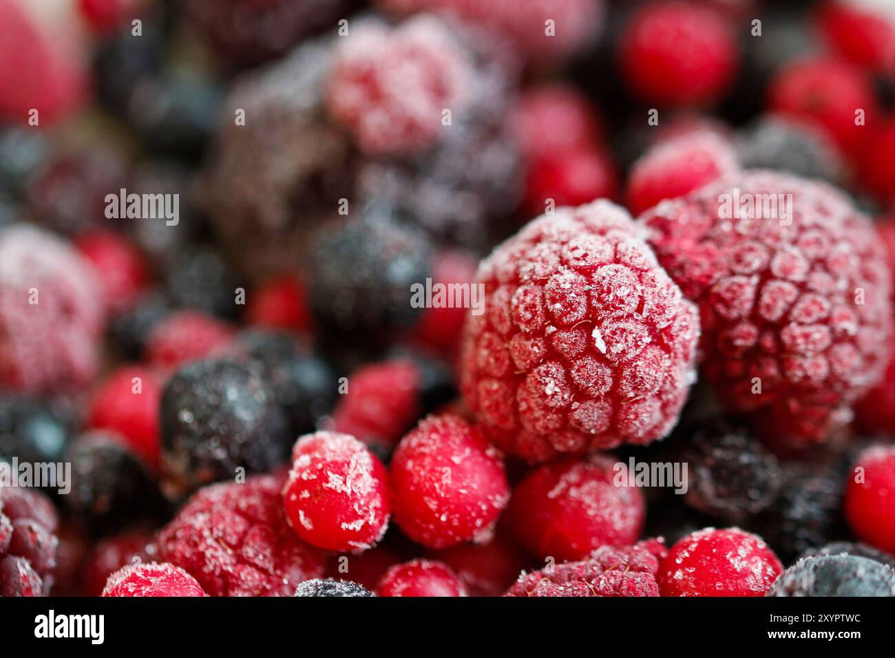Konzeptfoto von gefrorenen Waldbeeren und Himbeeren Nahaufnahme Stockfoto