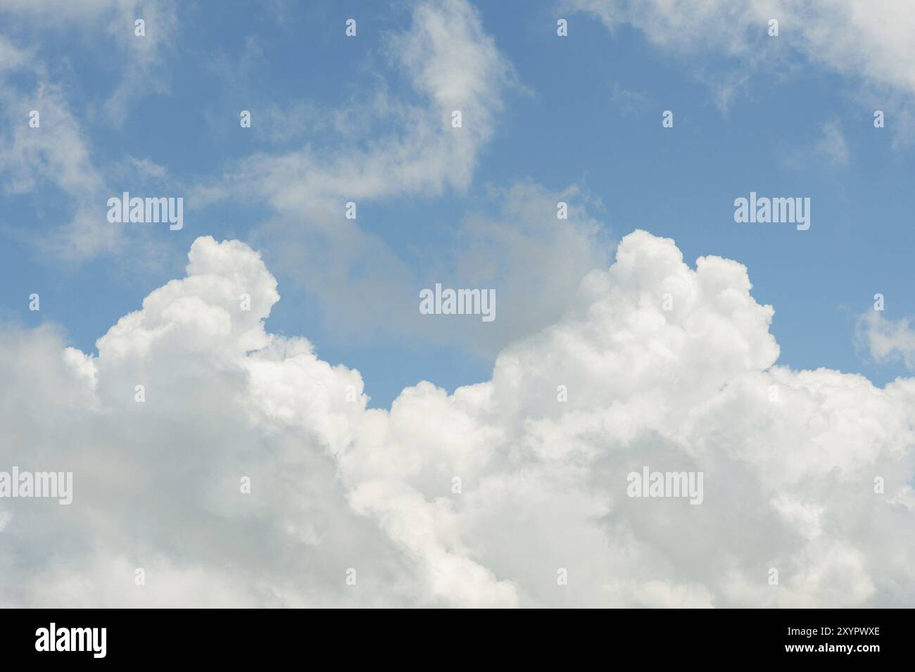 Weiße (Cumulus) Wolken gegen den blauen Himmel. Das Konzept des Wetters Stockfoto