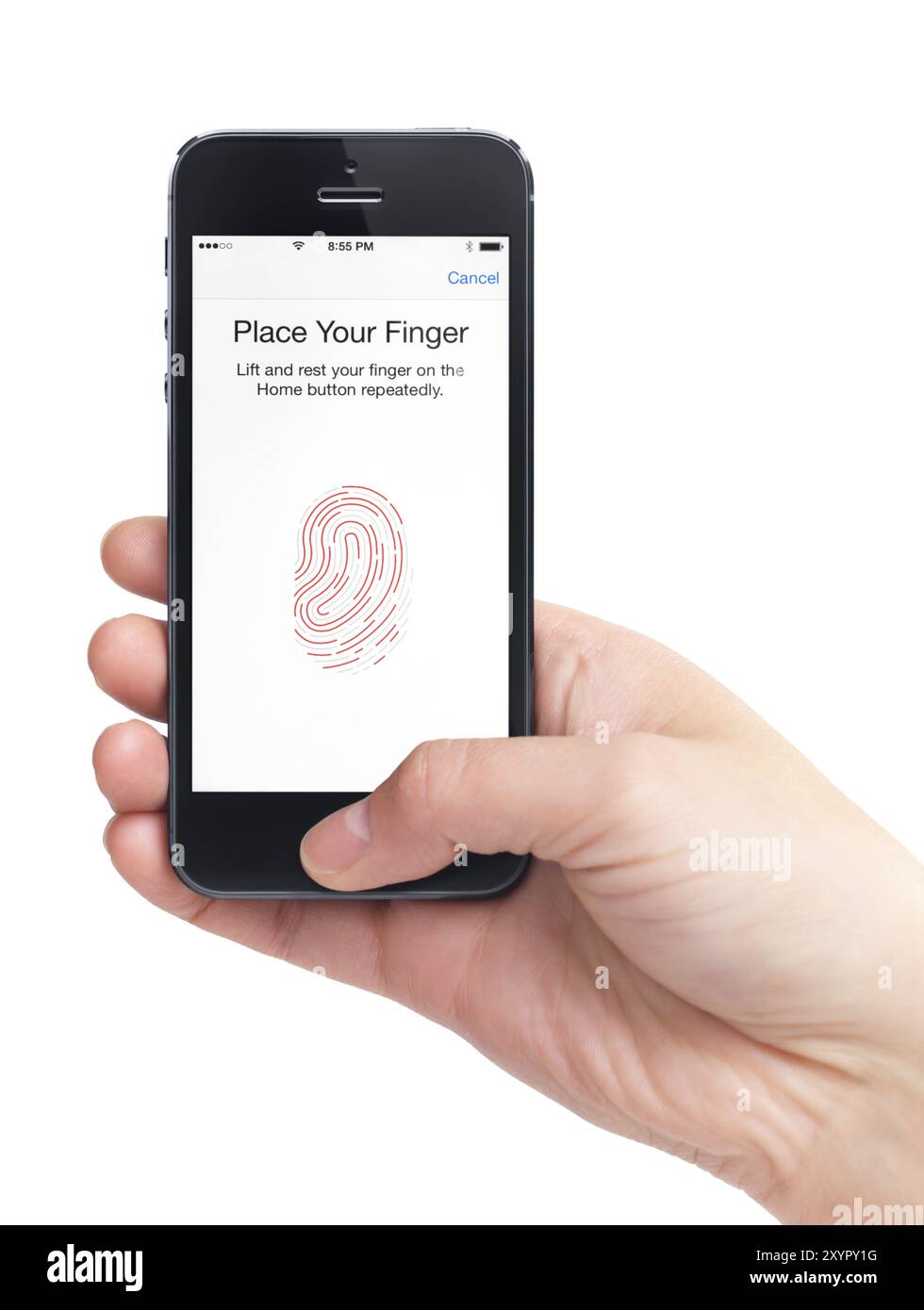 Nahaufnahme einer Hand, die das iPhone 5 mit einem Daumen hält, der von einem Fingerabdrucksensor gescannt wird. Berühren Sie ID-Sicherheitskonzept. Isoliert auf weißem Hintergrund Stockfoto