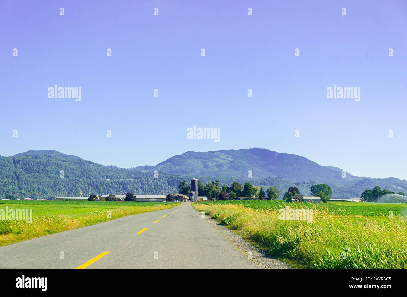Landwirtschaftsbetriebe in Mission, Fraser Valley, British Columbia, Kanada Stockfoto