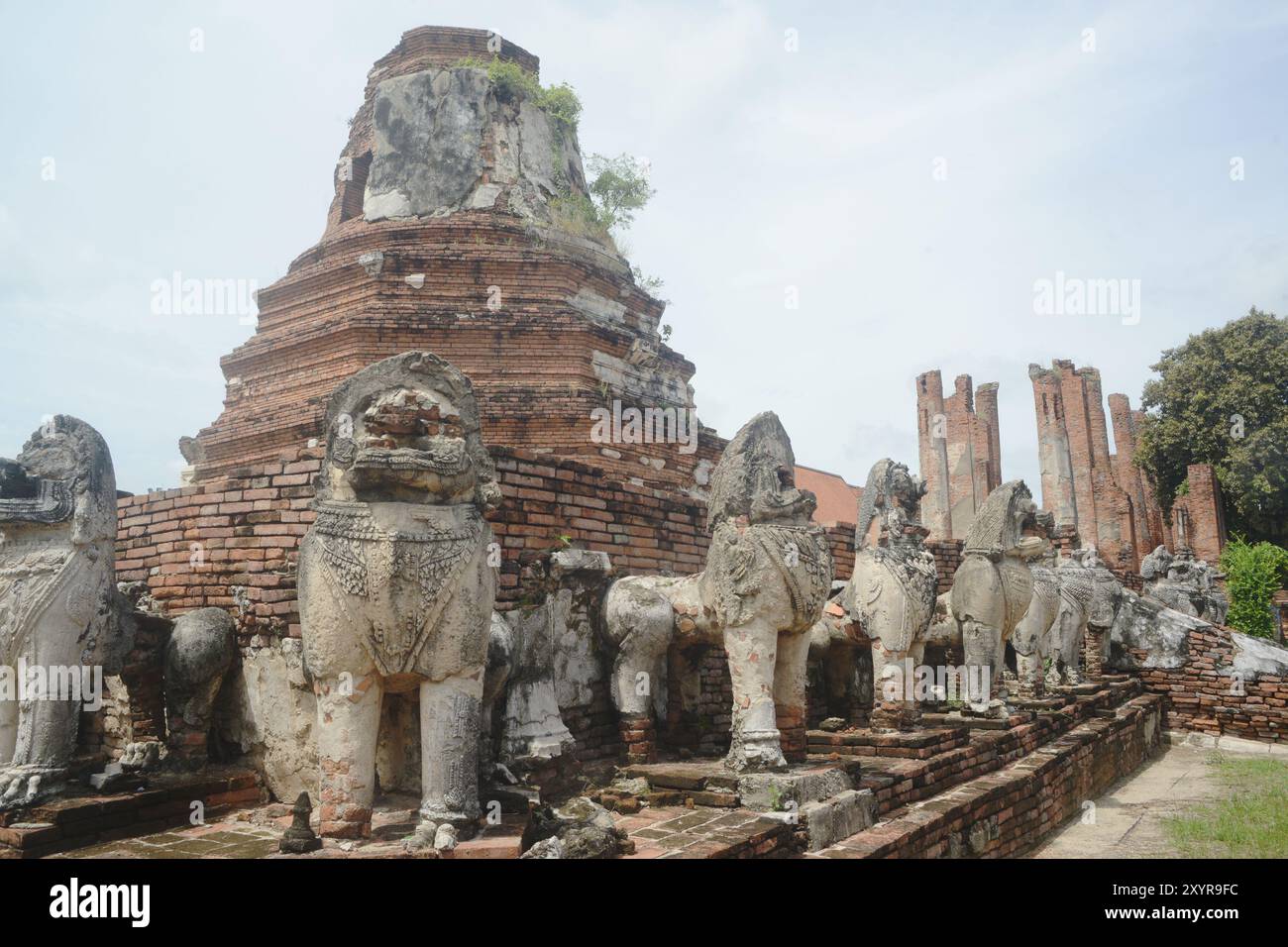 Singha- oder Löwenstatuen rund um die Hauptpagode am Wat Thammickarat haben sich im Laufe der Zeit verschlechtert, zeigen aber auch die Pracht und zeigen die Antike. Stockfoto