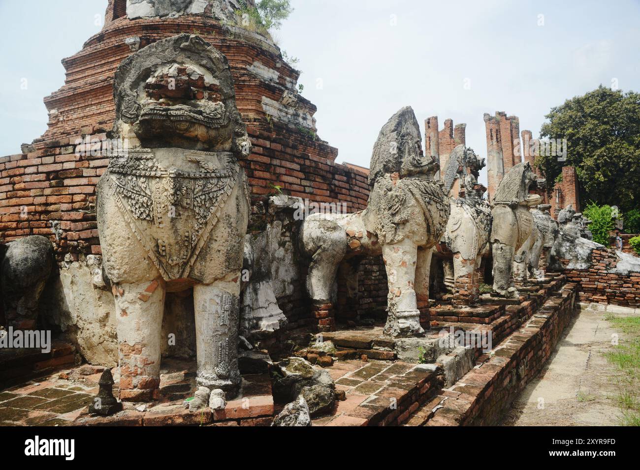 Singha- oder Löwenstatuen rund um die Hauptpagode am Wat Thammickarat haben sich im Laufe der Zeit verschlechtert, zeigen aber auch die Pracht und zeigen die Antike. Stockfoto