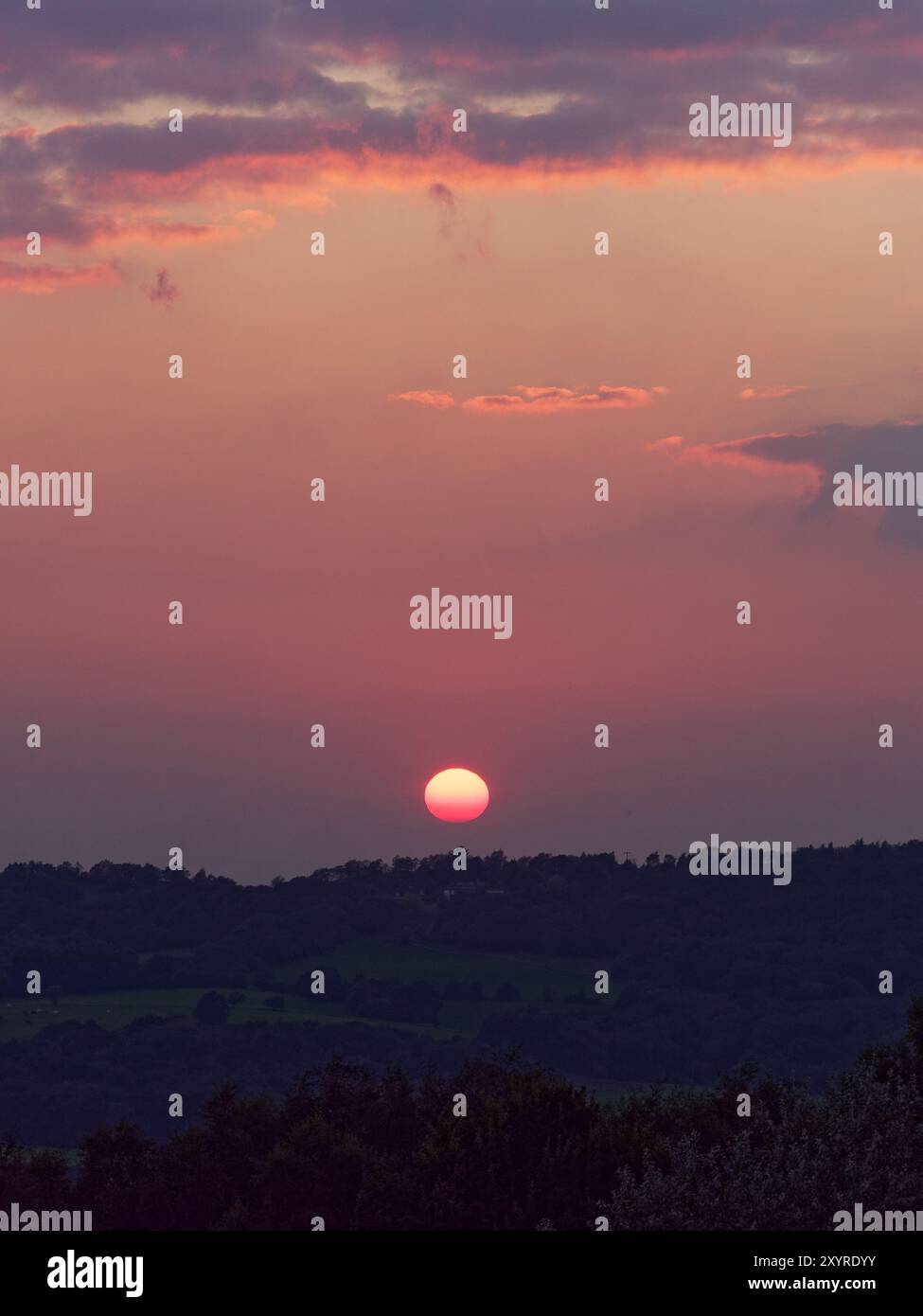 Sonnenuntergang über sanften Hügeln und Viehfeldern in einer ländlichen Landschaft in Staffordshire England. 30. August 2024 Stockfoto