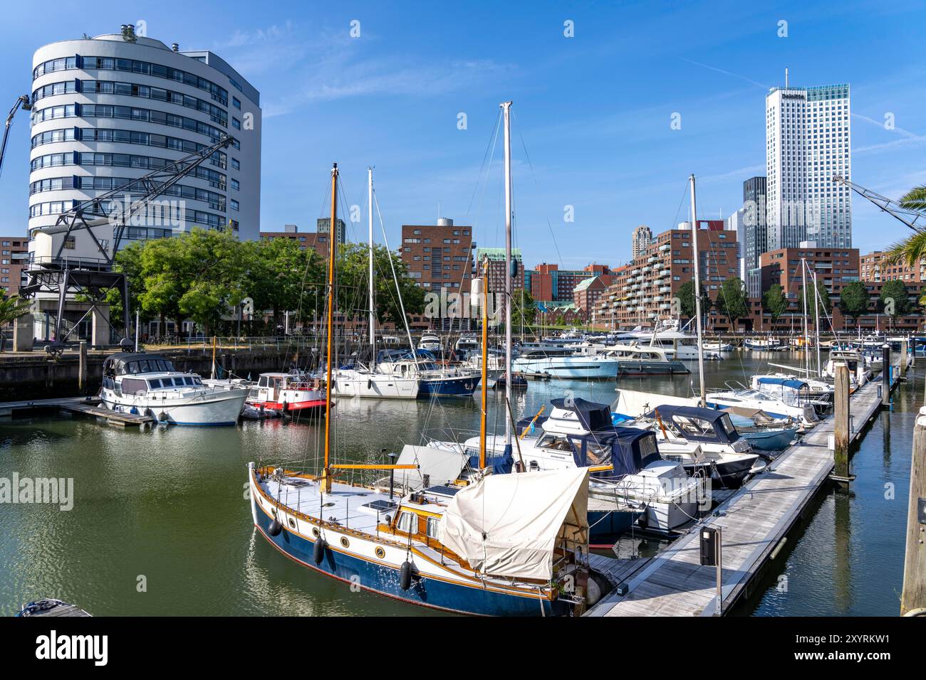 Rotterdam Marina, Sportboothafen, Segelboote, Motoryachten, im Binnenhafen, Viertel Feijenoord, Rotterdam, Niederlande Stockfoto