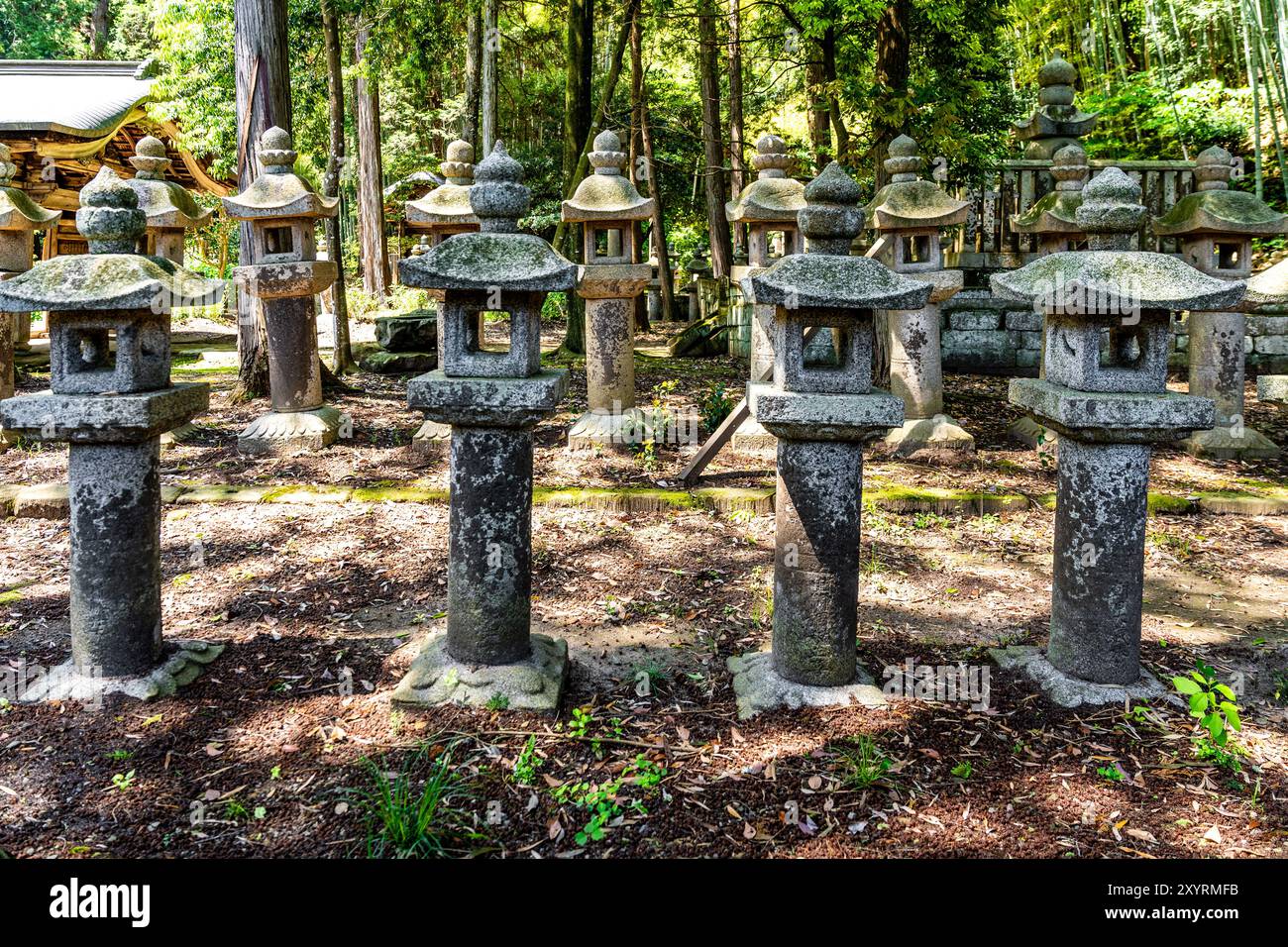 Steinlaternen im Gesshoji-Tempel, auch Tempel des Mondlichts genannt, Familientempel des Matsudaira-Clans, in Matsue, Präfektur Shimane, Japan Stockfoto