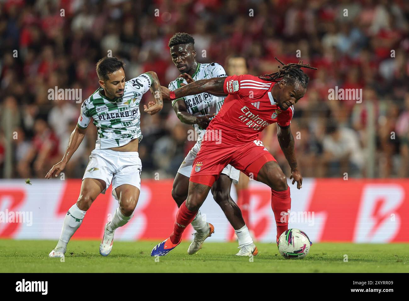 Guimarães, 08/30/2024 - der Fußballverein Moreirense veranstaltete heute Abend Sport Lisboa e Benfica im Stadion Comendador Joaquim de Almeida Freitas in Moreira de Cónegos, in einem Spiel, das zur 4. Runde der I League 2024 zählte. Alan ; Renato Sanches ; Lawrence Ofori (Miguel Pereira) Credit: Atlantico Press/Alamy Live News Stockfoto