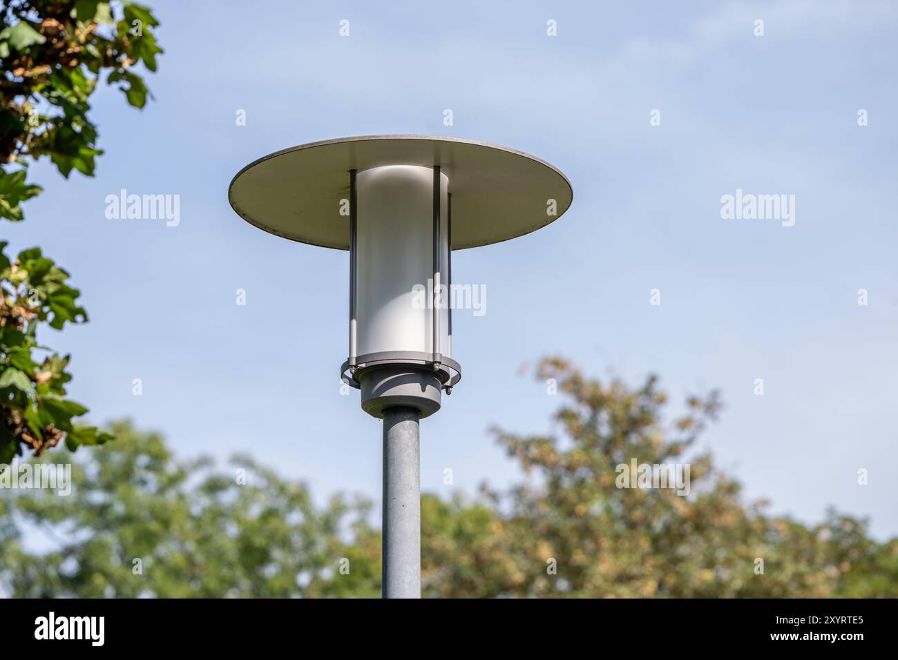 , Deutschland, 30.08.2024, eine moderne Straßenlaterne steht im Freien, umgeben von grünen Bäumen und einem klaren blauen Himmel. Das Design der spät Stockfoto