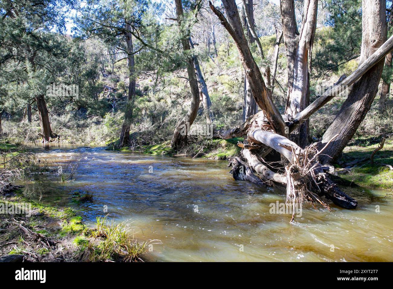 Der Abercrombie River fließt durch den Nationalpark Abercrombie River westlich des Stadtzentrums von Oberon, New South Wales, Australien Stockfoto