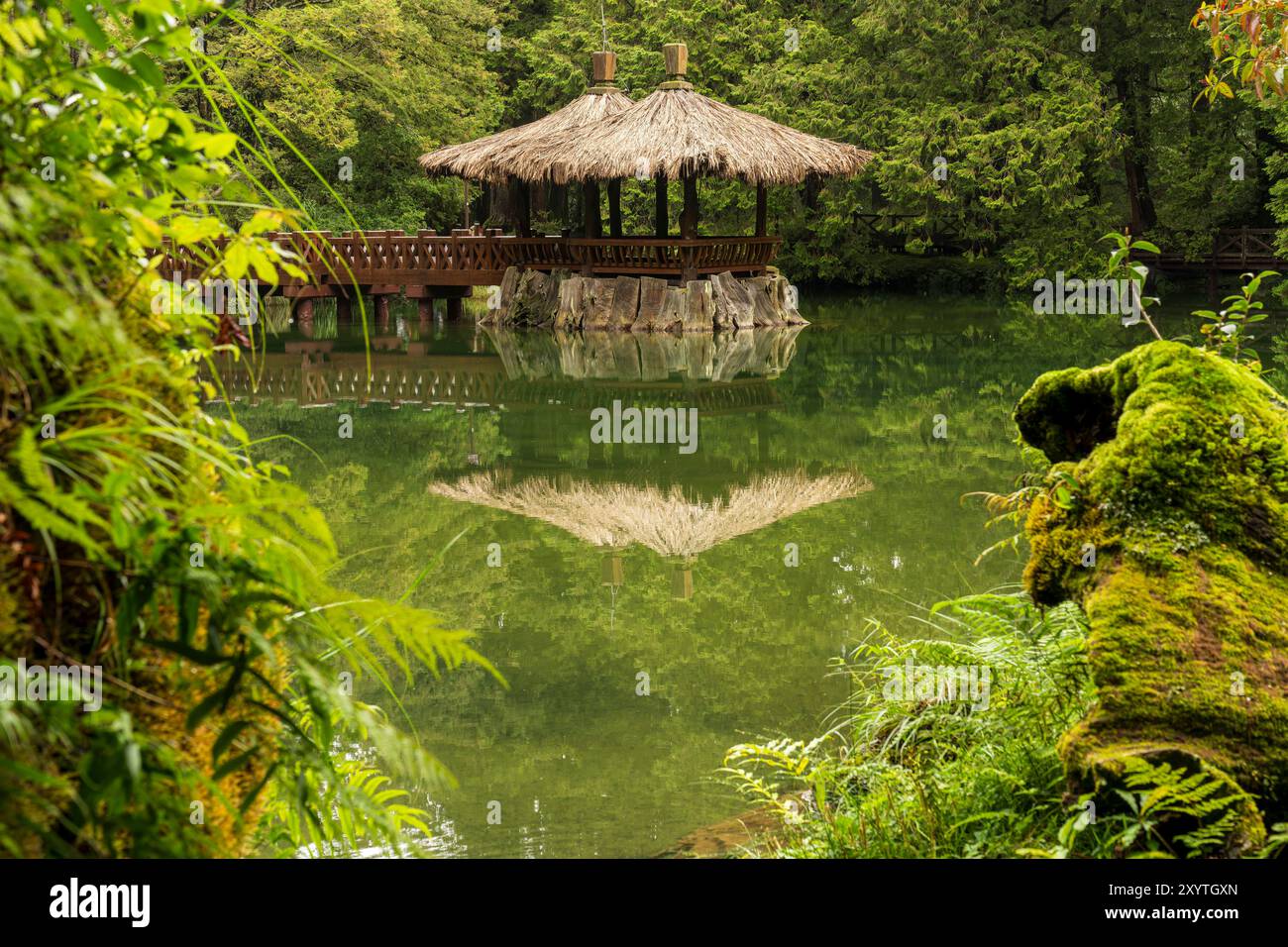Teich im Wald, Reflexion über Wasser im Wald Stockfoto