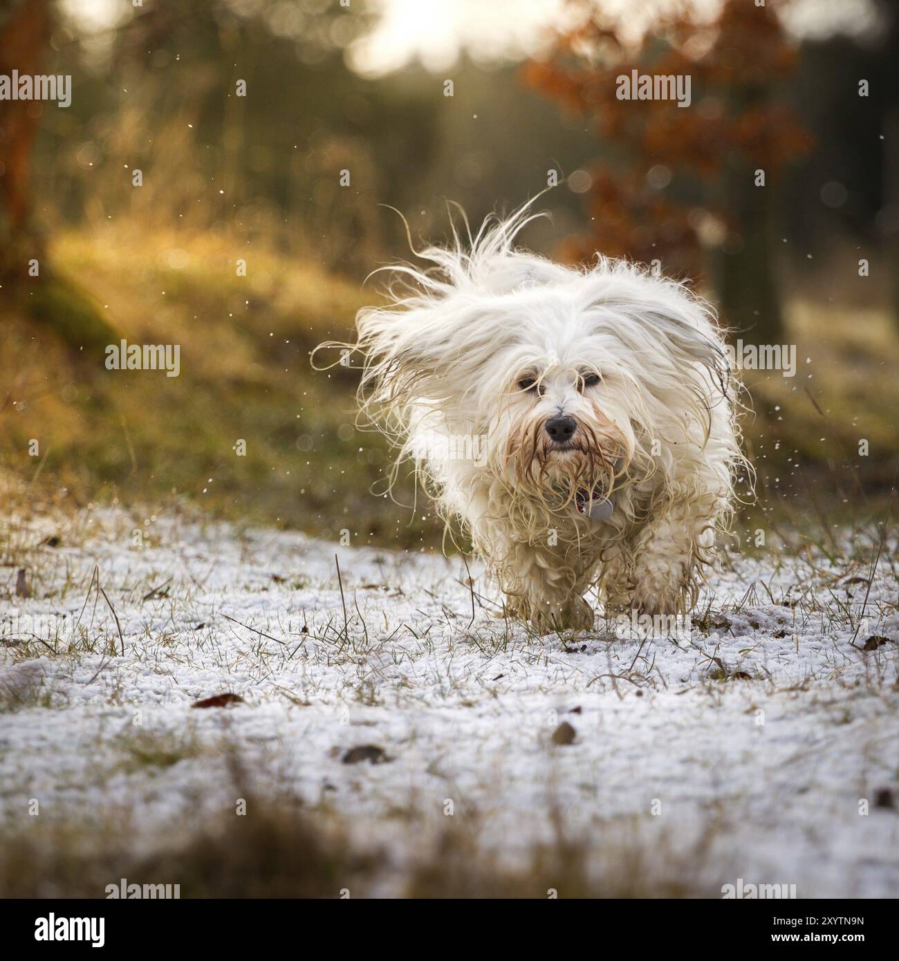 Spaß auch bei schlechtem Wetter Stockfoto