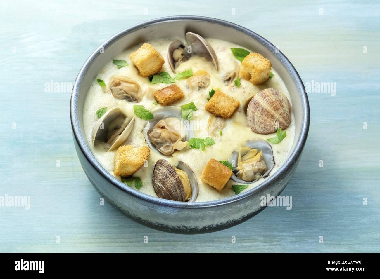 Clam Chowder, dekoriert mit frischer Petersilie und Croutons, auf einem blauen Hintergrund Stockfoto