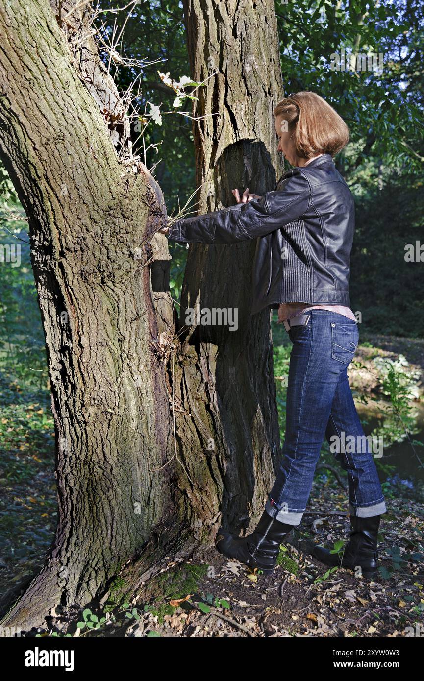 Junge Frau Geocaching im Wald Stockfoto