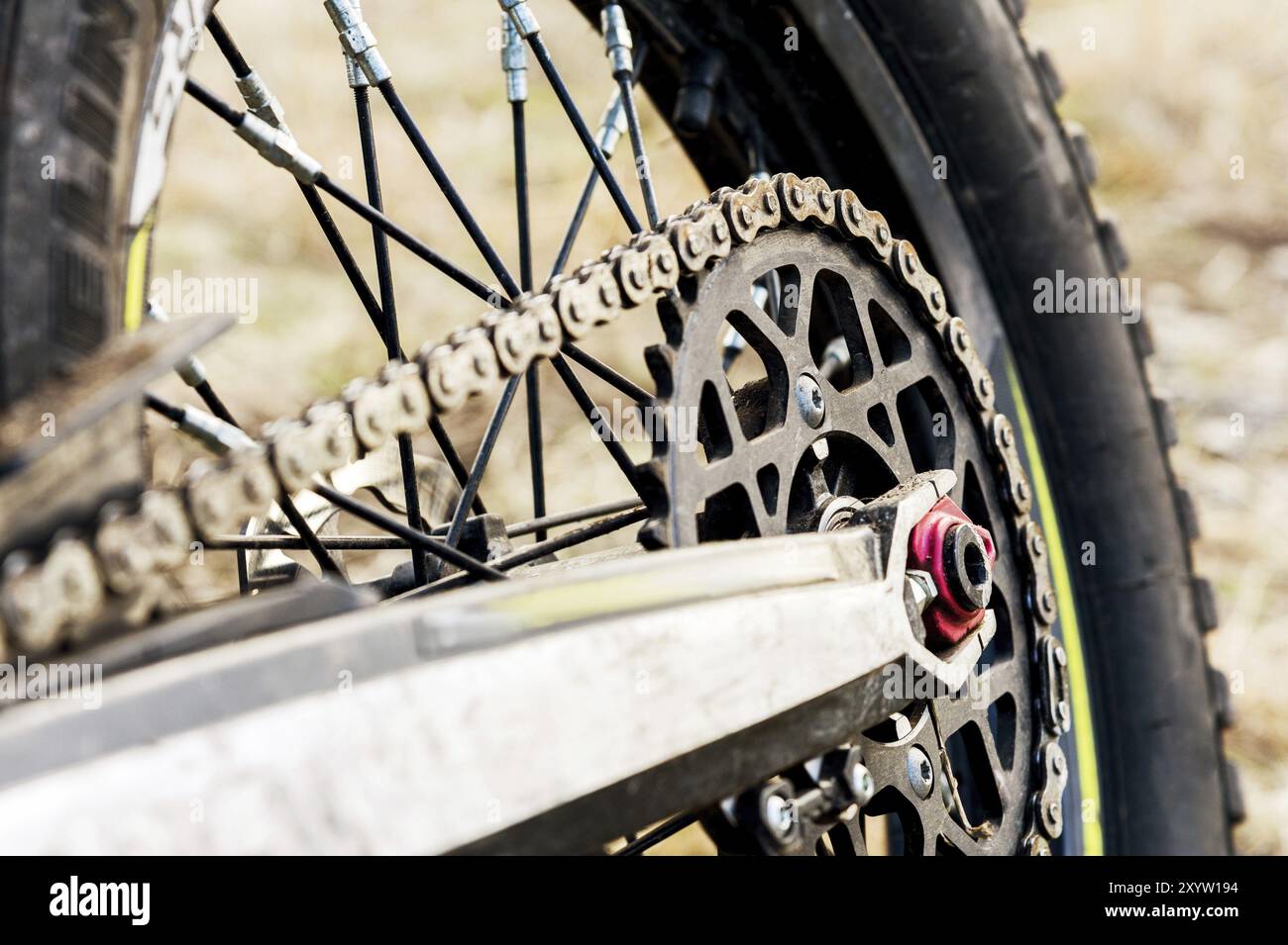 Motorrad-Trial und Enduro am Hinterrad. Montiert auf Radgetriebe und Kette mit Speichen. Nahaufnahme des Hinterrads eines Geländemotorrads Stockfoto