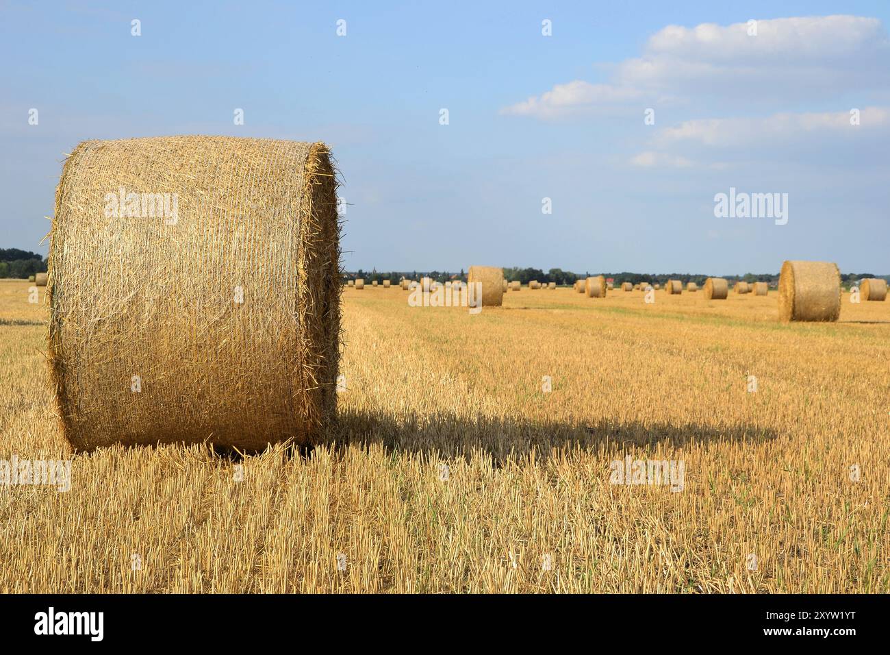 Stroh Rundballen in einem Feld Stockfoto