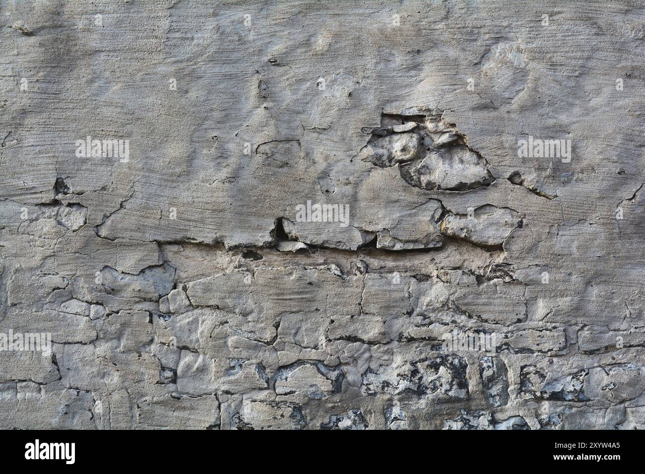 Mauer eines historischen Wohnhauses in Magdeburg Stockfoto