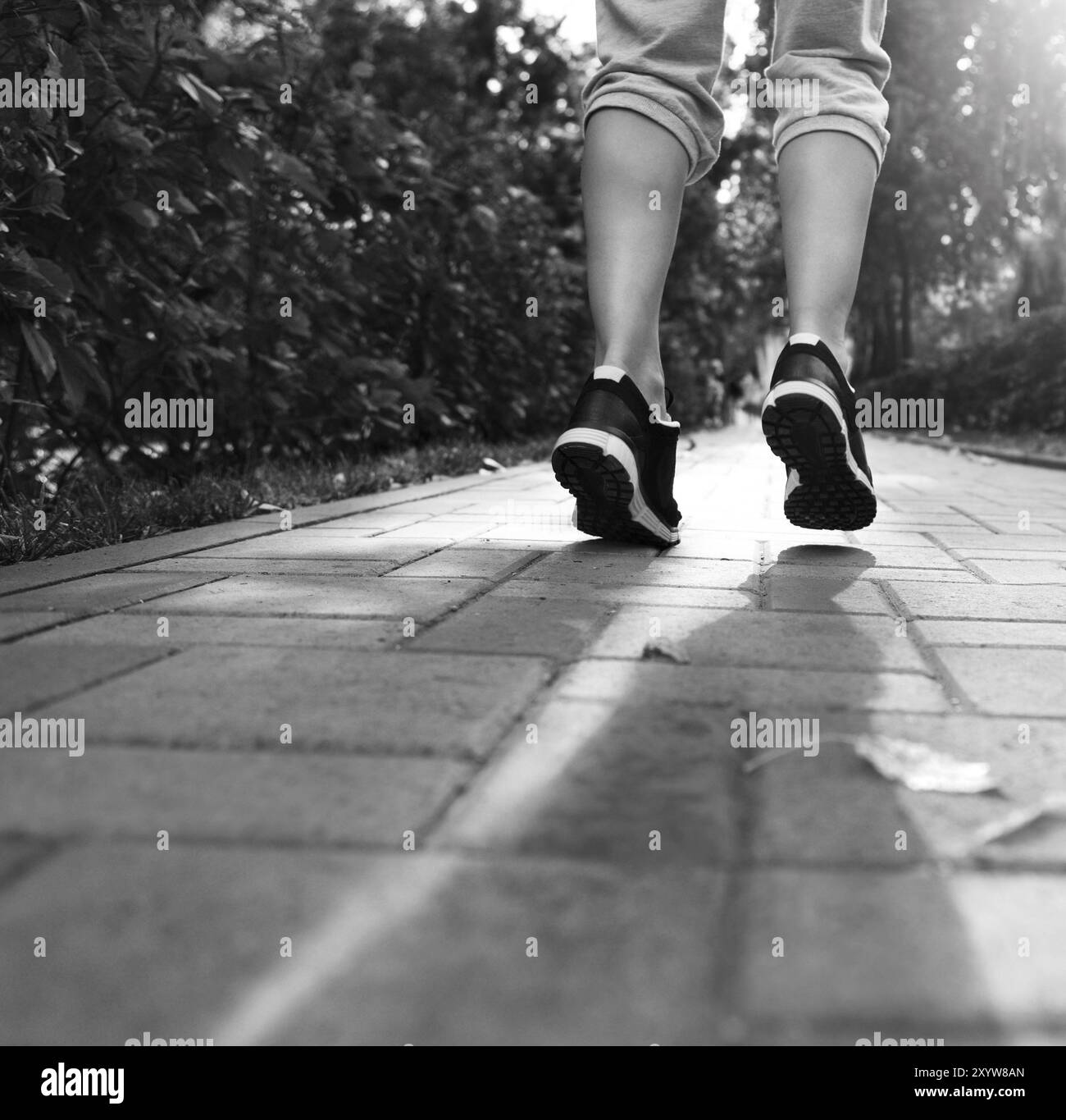 Läufer-Füße auf Straße Closeup auf Schuhen laufen. Frau Sonnenaufgang Jog Training Welness Fitnesskonzept. Schwarz / weiß Stockfoto