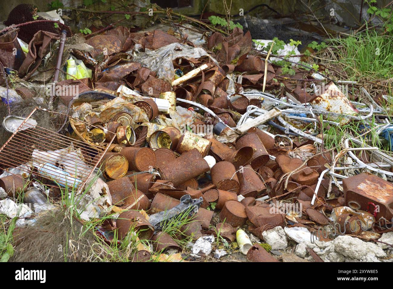 Leere Blechdosen, Müll im Wald. Wilde Müllhalde im Wald Stockfoto