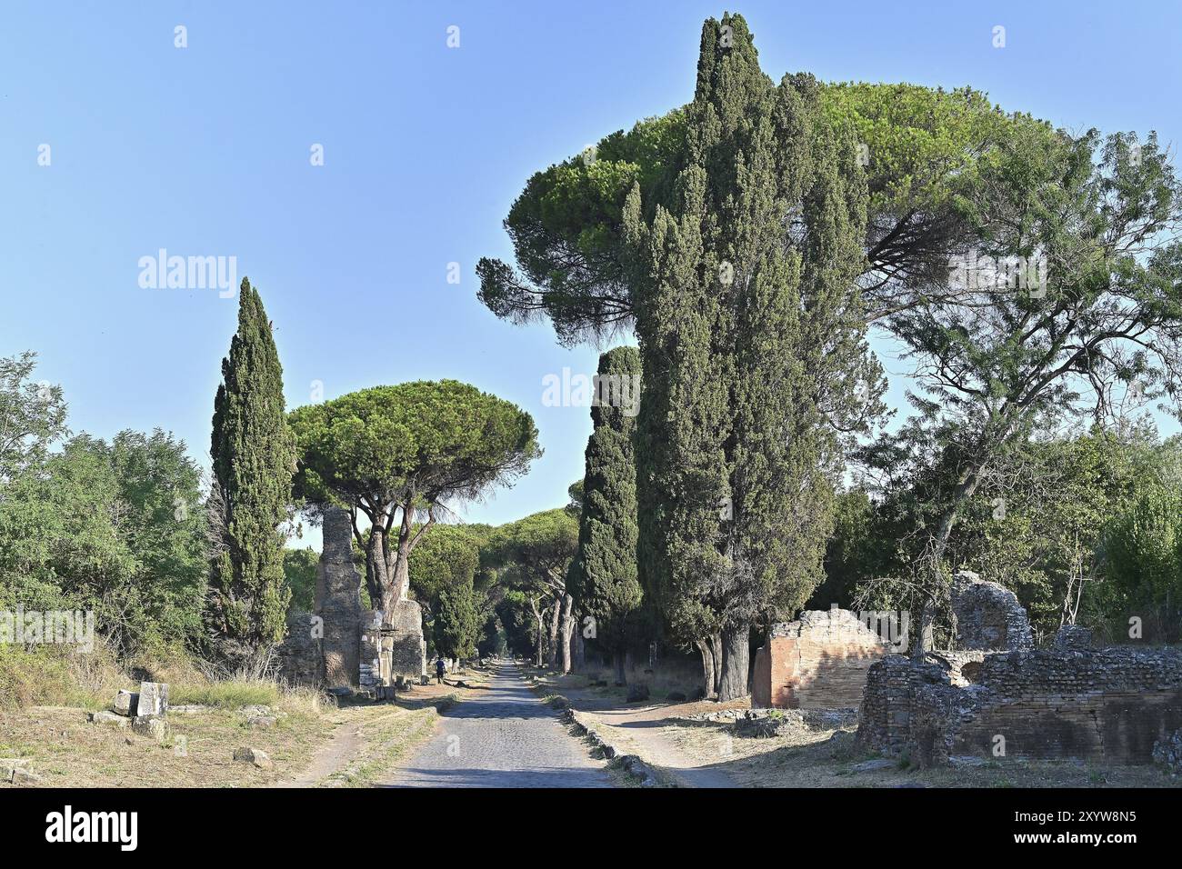 Via Appia mit Grabsteinen, Kiefern und Zypressen Stockfoto