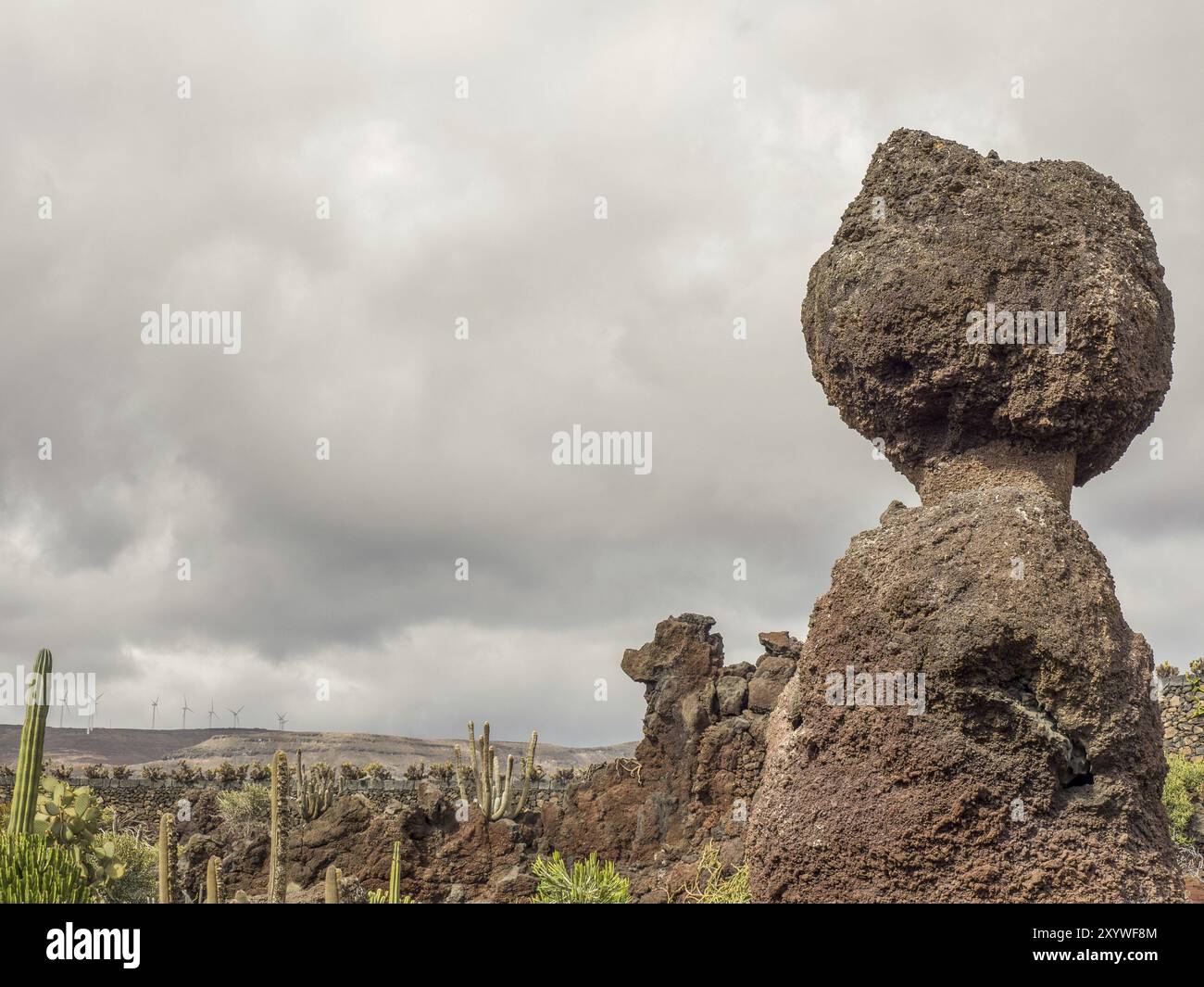 Landschaft mit großen, markanten Felsen und Kakteen unter bewölktem Himmel, Lanzarote, Kanarische Inseln, Spanien, Europa Stockfoto