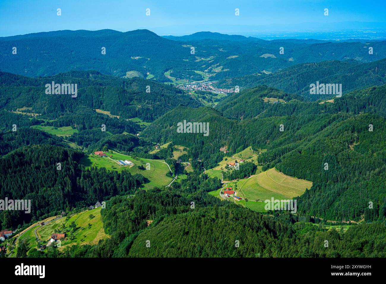 Blick vom Buchkopf-Turm in Oppenau-Maisach Schwarzwald Deutschland. Baden Württemberg, Deutschland, Europa Stockfoto