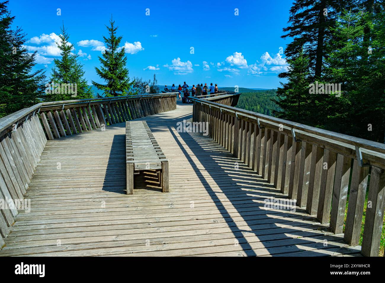 Aussichtsplattform Ellbachsee Kniebis bietet einen Panoramablick über den Schwarzwald. Deutschland, Europa Stockfoto