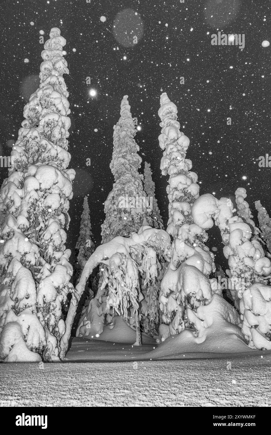 Schneefall in einer schneebedeckten Landschaft, Muddus-Nationalpark, Laponia-Weltkulturerbe, Norrbotten, Lappland, Schweden, Dezember 2012, Europa Stockfoto