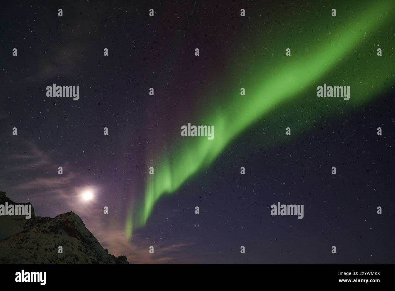 Nordlichter (Aurora borealis), Mefjorden, Senja, Troms Fylke, Norwegen, März 2015, Europa Stockfoto