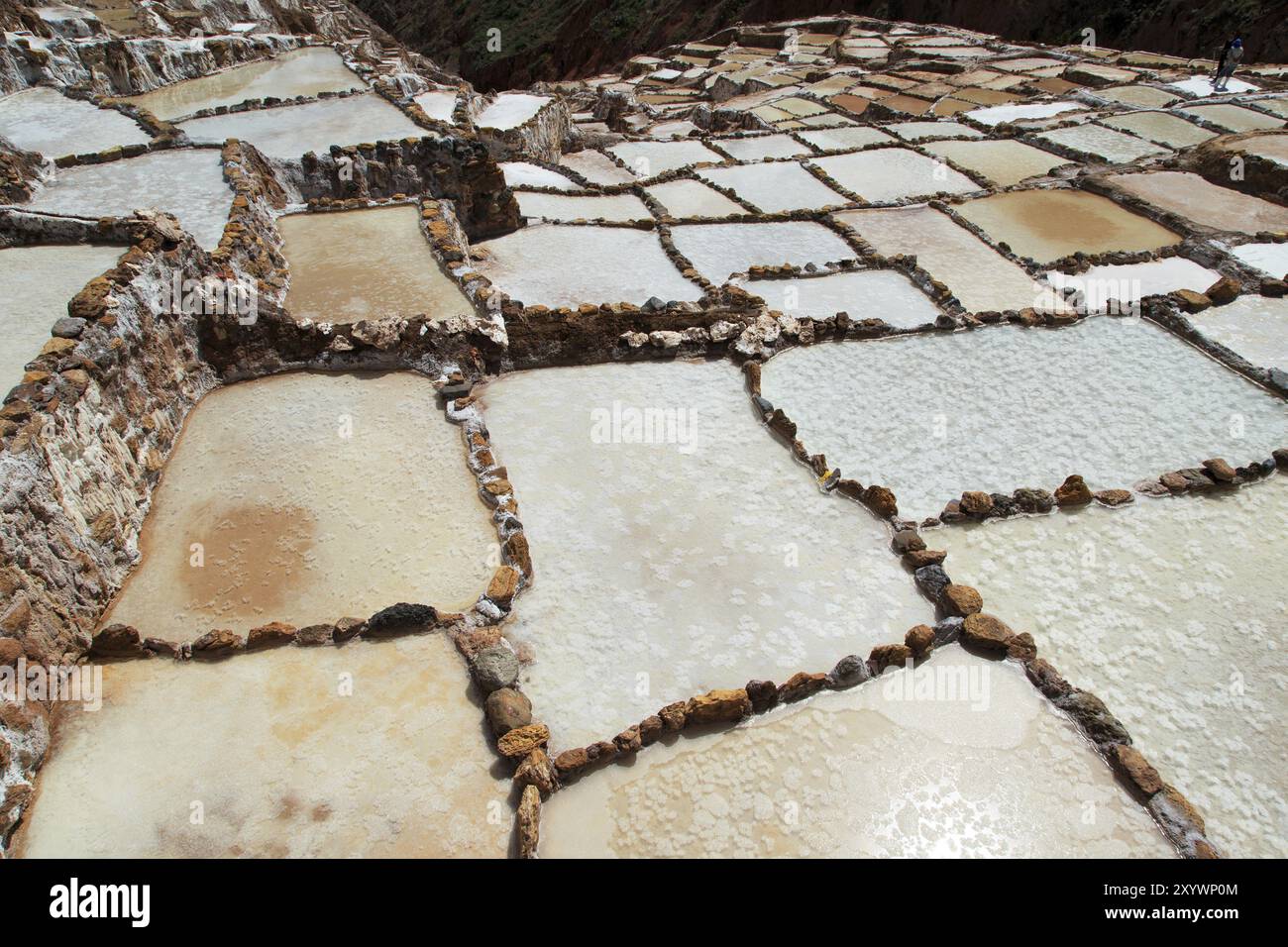 Salzterrassen von Maras in Peru Stockfoto