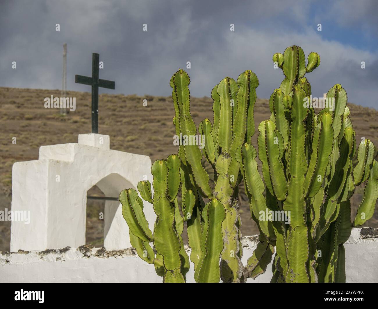 Große Kakteen vor einer religiösen Struktur in einer hügeligen Landschaft, lanzarote, Kanarische Inseln, Spanien, Europa Stockfoto