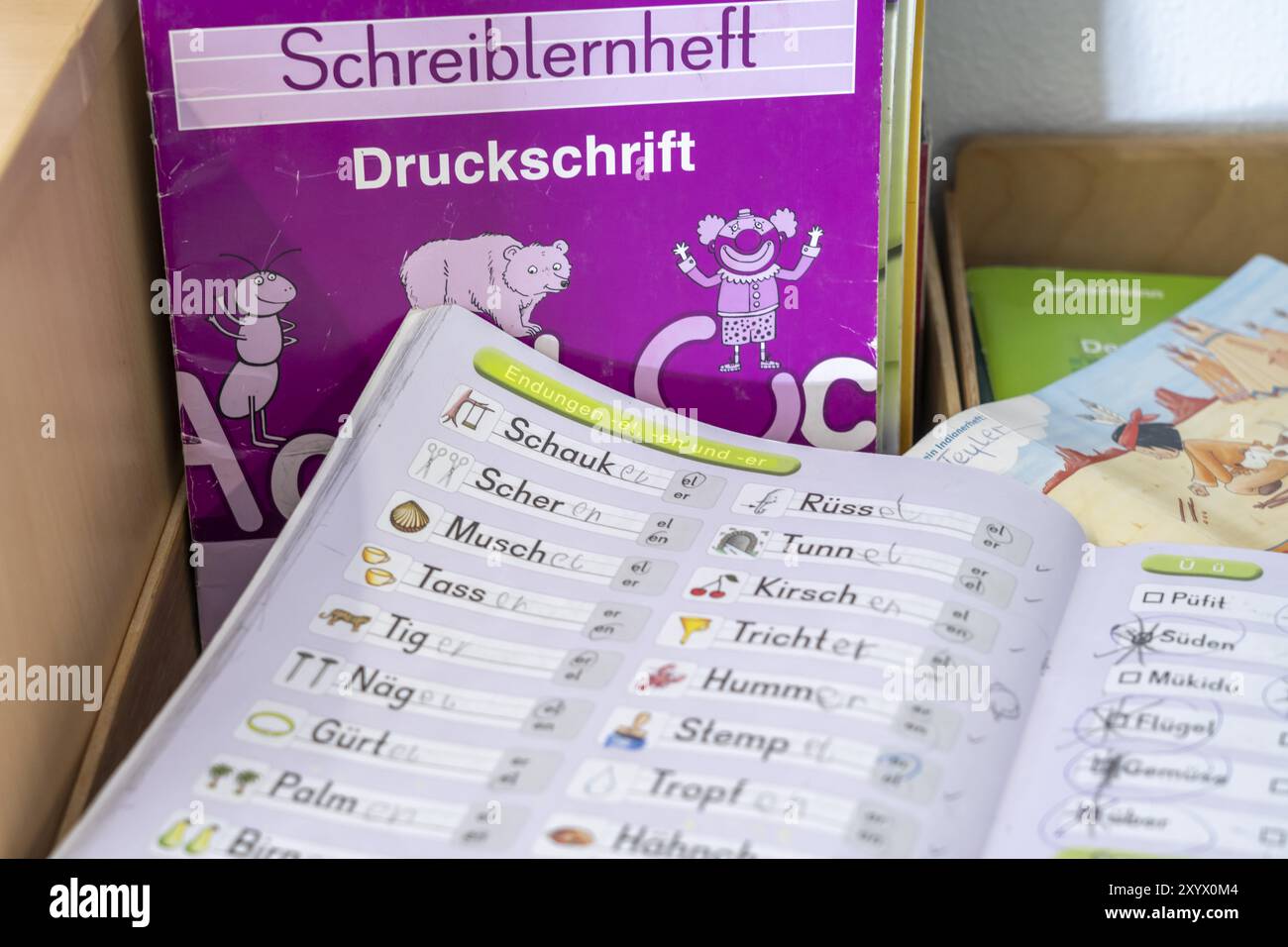 Klassenzimmer der vierten Klasse, nach der Schule ist das Gebäude älter, aber in gutem Zustand, Lehrbücher, Sprache Stockfoto