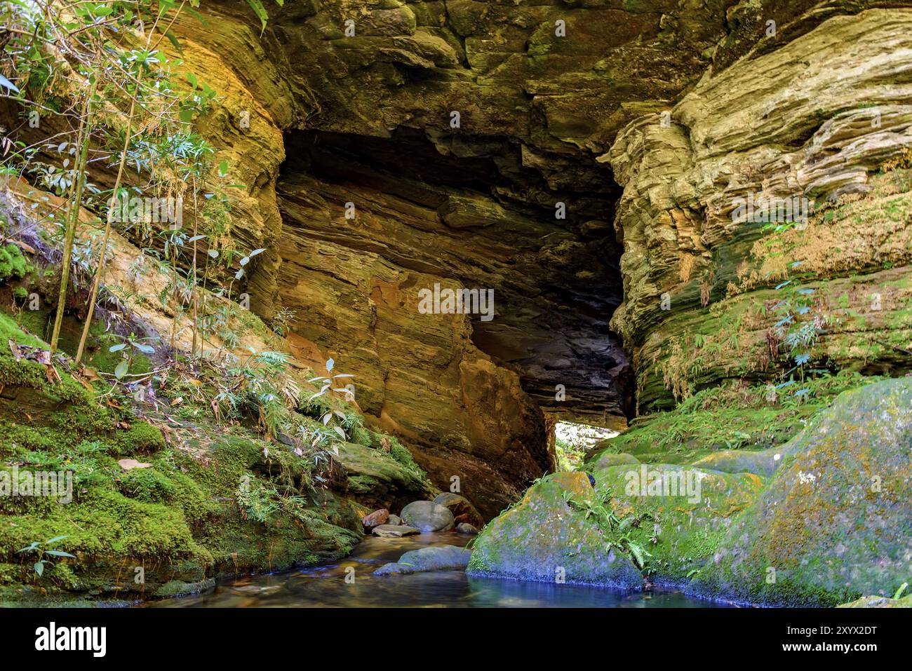 Stein Höhle Interieur mit kleinen Fluss und See durch die Vegetation der brasilianischen Urwald umgeben Stockfoto