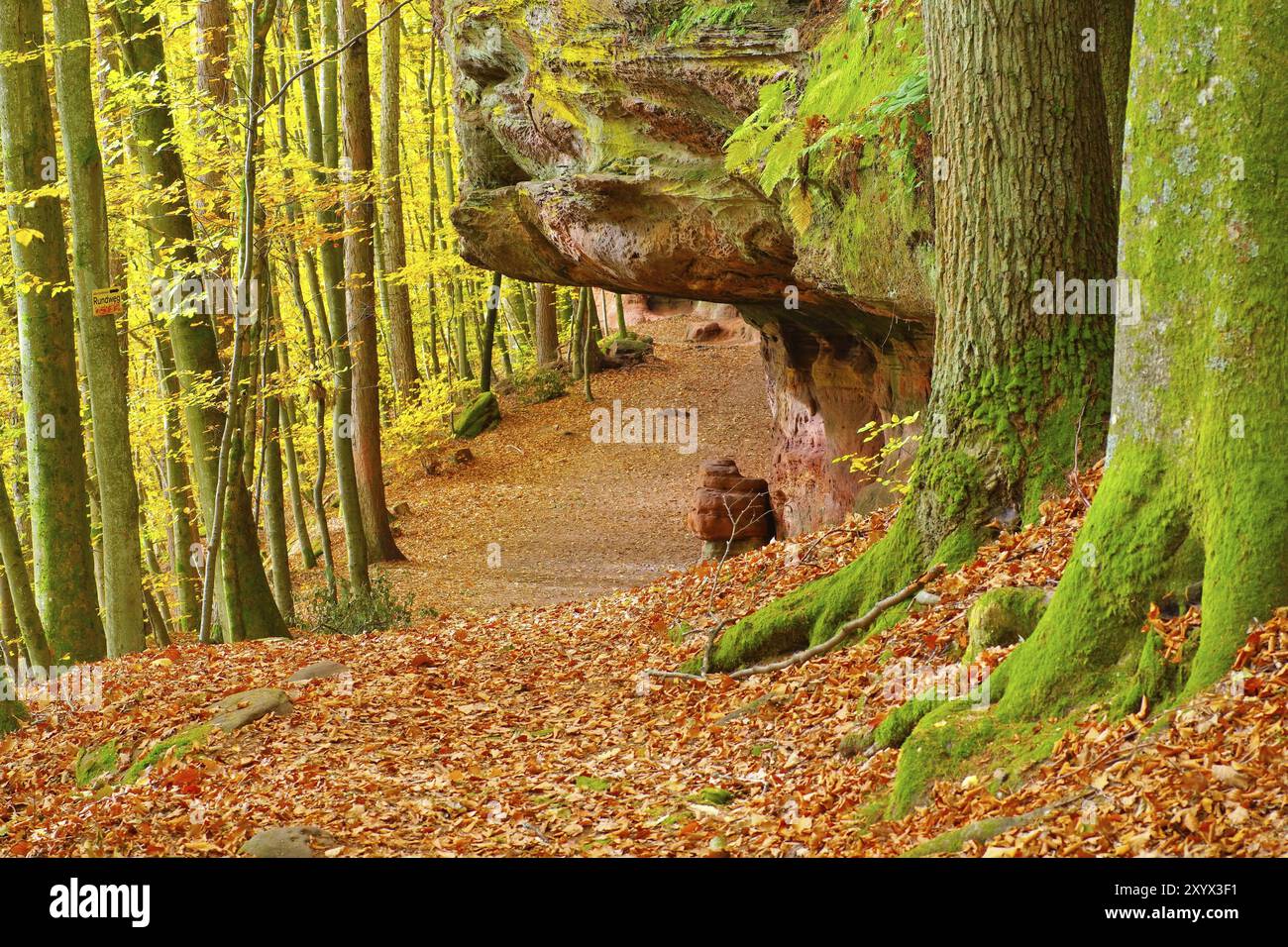 Altes Burggestein im Dahner Felsenland im Herbst, altes Burggestein im Dahn Rockland im Herbst, Deutschland, Europa Stockfoto