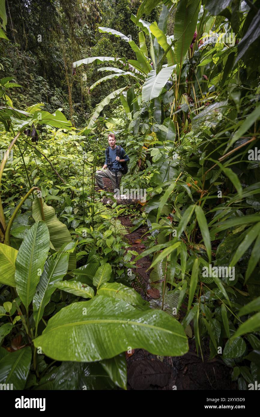 Junger Mann, Tourist auf einem schmalen Wanderweg zwischen dichter Vegetation im tropischen Regenwald, Laguna de Hule, Refugio Nacional de Vida Silvestre Mi Stockfoto