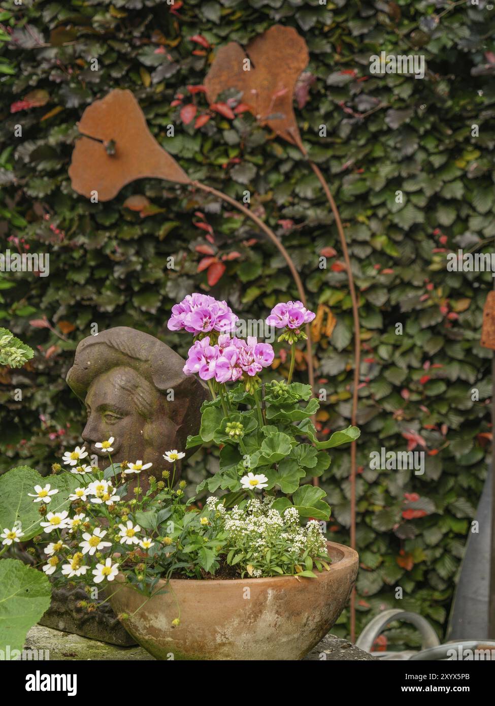 Garten mit Blumen in Töpfen, Skulptur und herzförmigen Blättern vor einer Mauer, borken, münsterland, deutschland Stockfoto