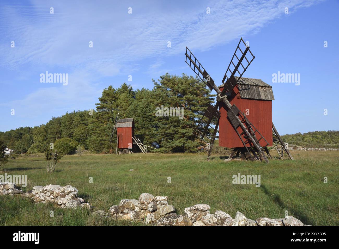 Windmühle auf der Insel oland in schweden im Herbst mit blauem Himmel. Windmühlen auf Oeland in Schweden Stockfoto