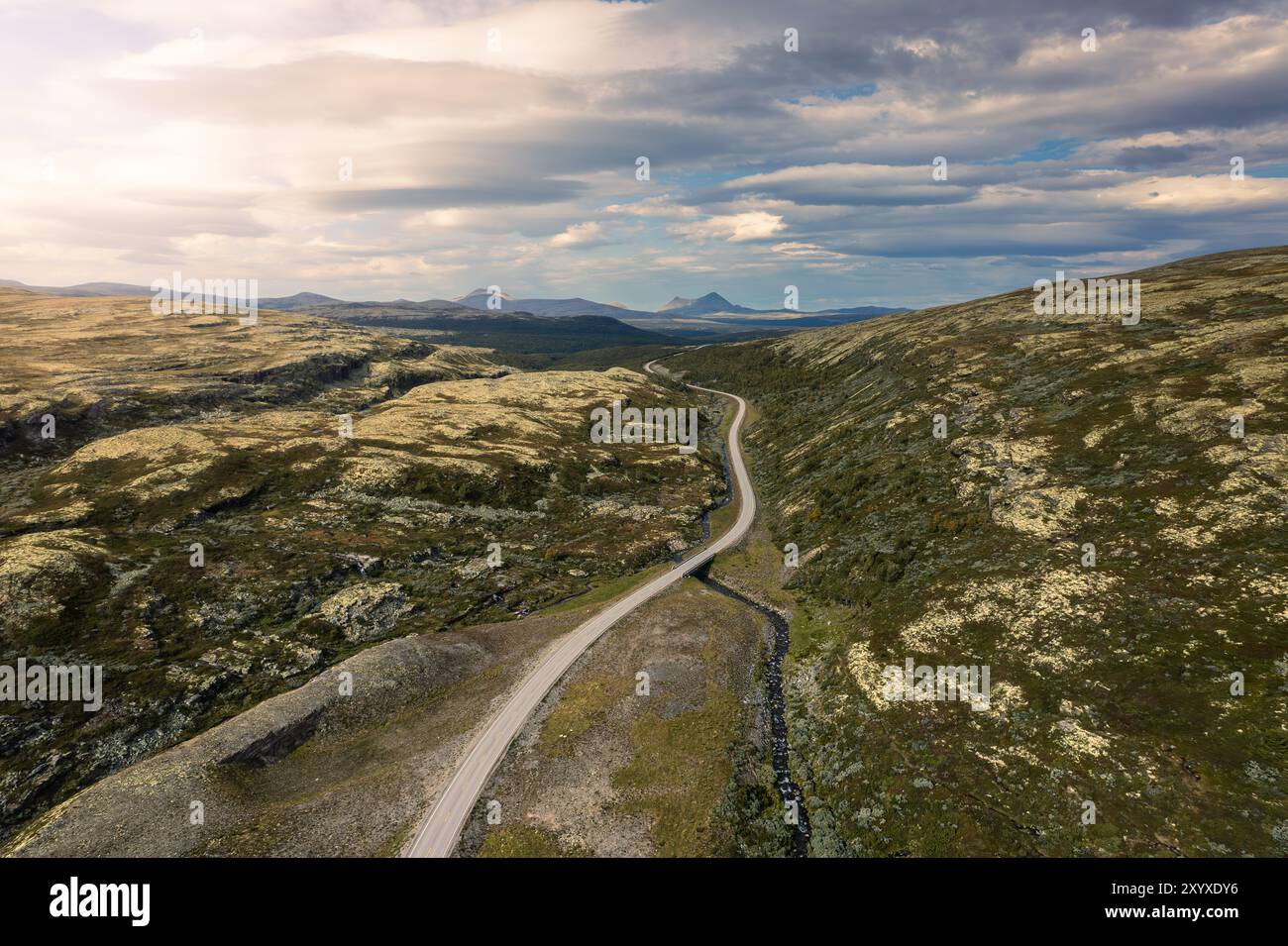 Die gewundene Straße schlängelt sich durch die zerklüftete Landschaft des Rondane-Nationalparks in Norwegen, bedeckt mit Flechten und Heidekraut unter einem hellen, sonnendurchfluteten Himmel Stockfoto