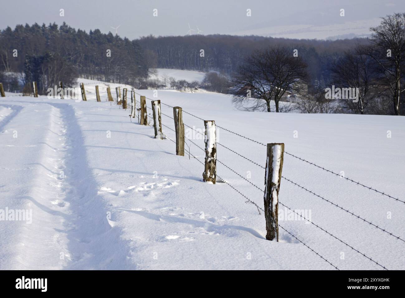 Zaun im Schnee Stockfoto